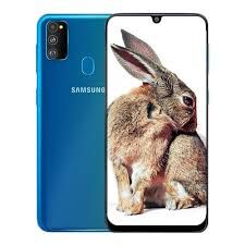 SAMSUNG M30S-M307